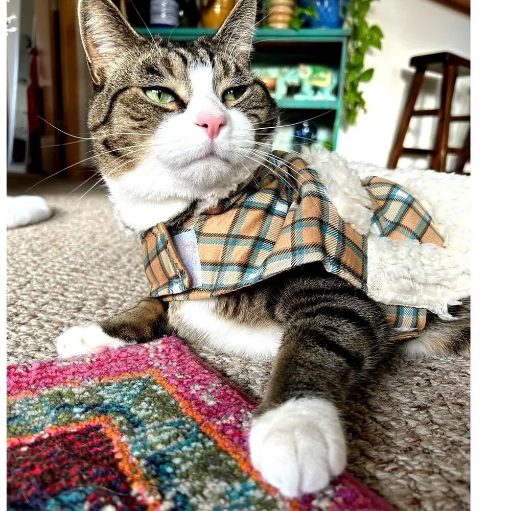 Frisco Lightweight Plaid Pocket Dog & Cat Coat, Medium